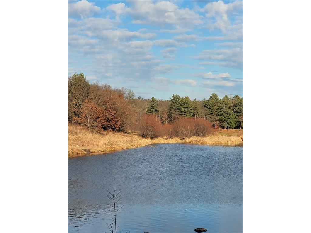 N901 Resewood Avenue Neillsville WI 54456 - Black River/Lake Arbutus 1597207 image18