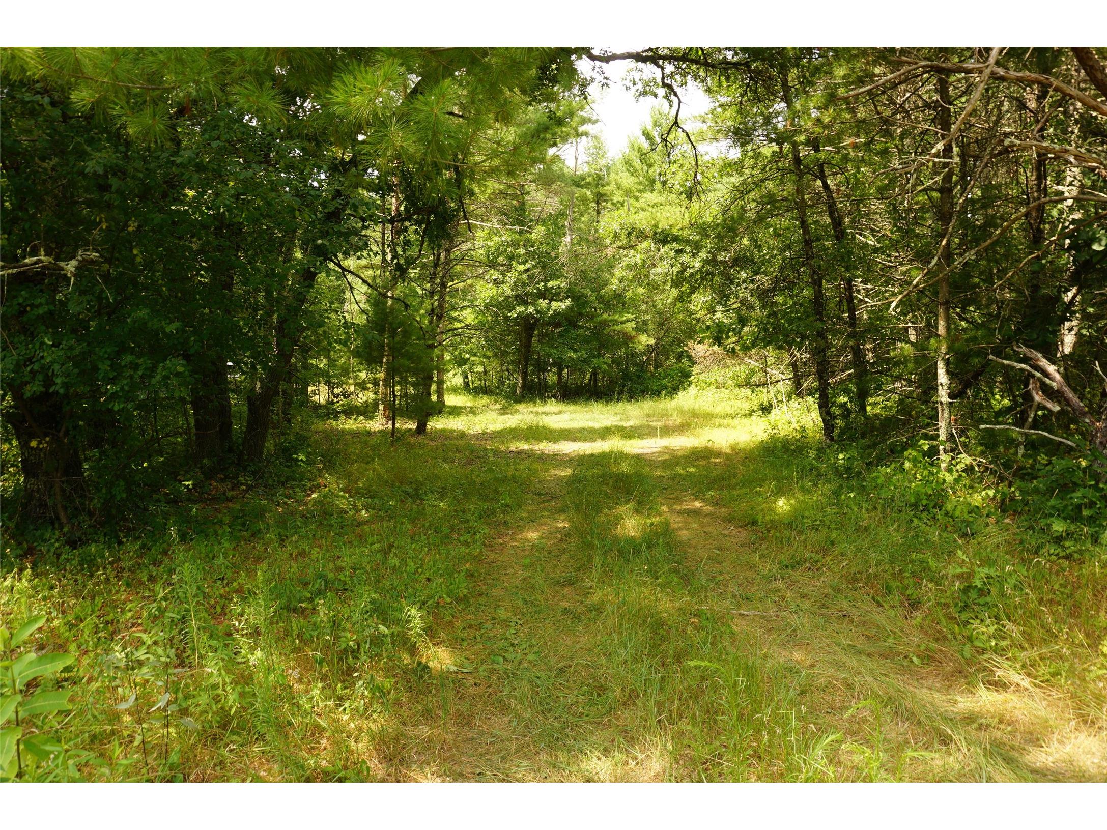 N9105 Flood Road Black River Falls WI 54615 1603584 image11