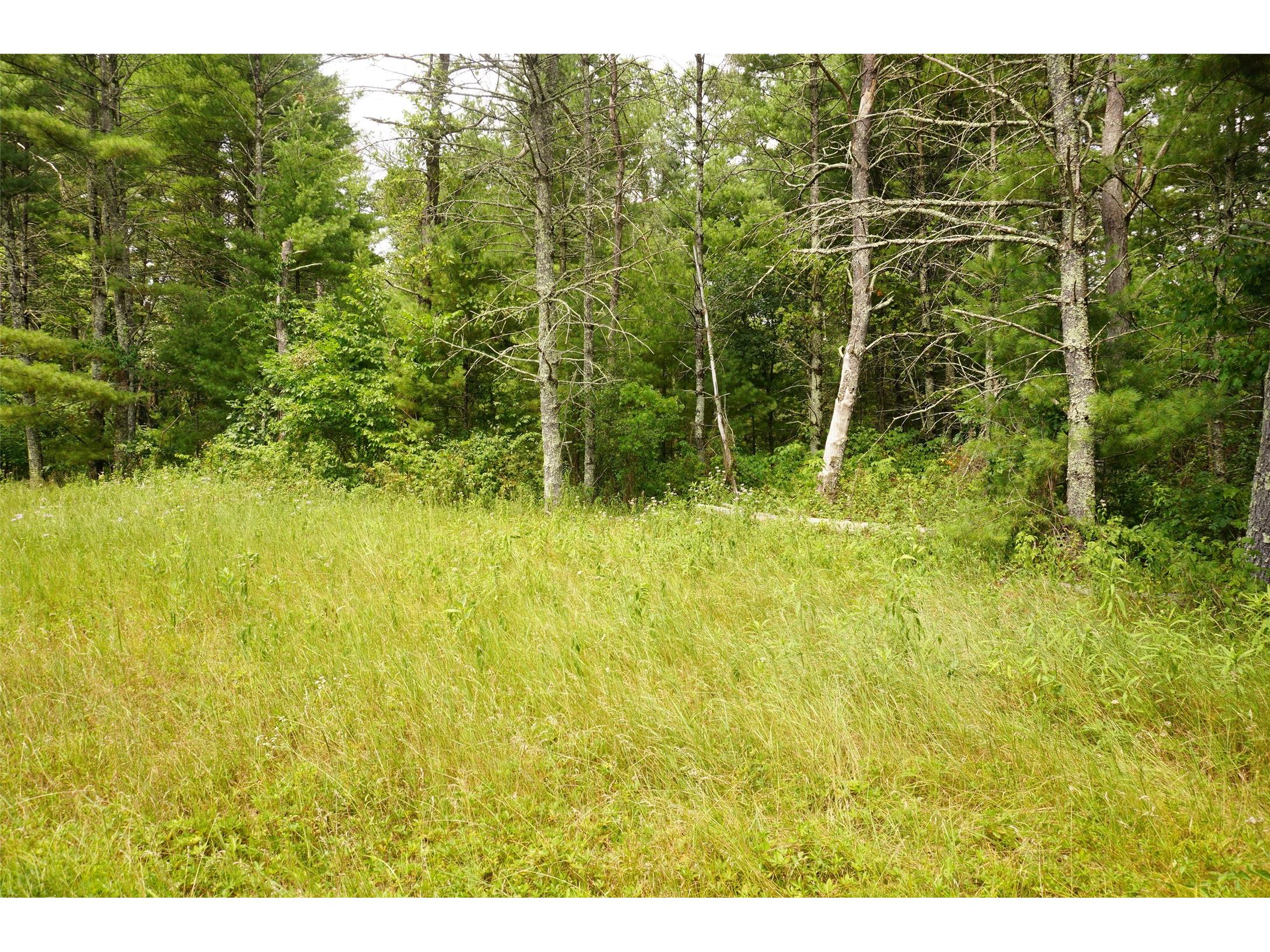 N9105 Flood Road Black River Falls WI 54615 1603584 image9