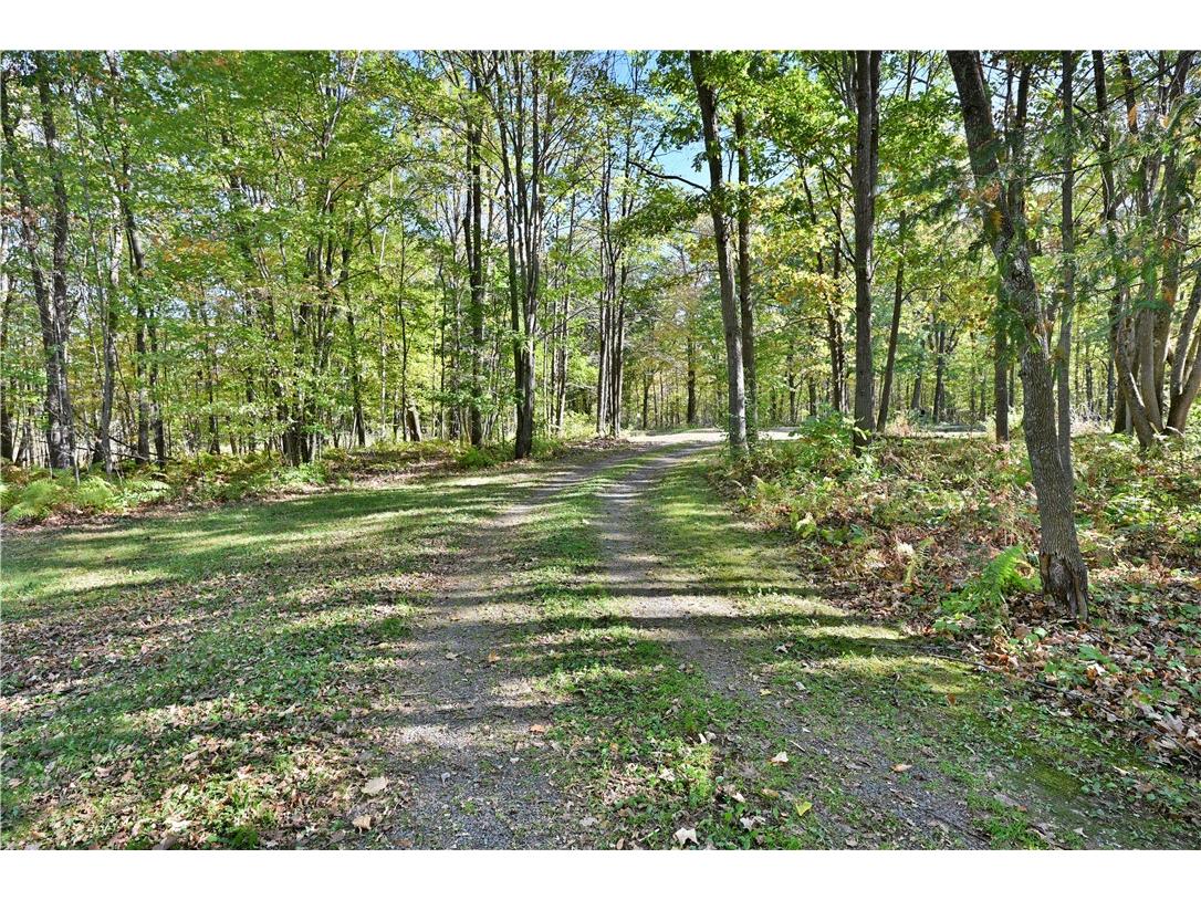 N9161 Shady Lane Trego WI 54888 1597044 image41