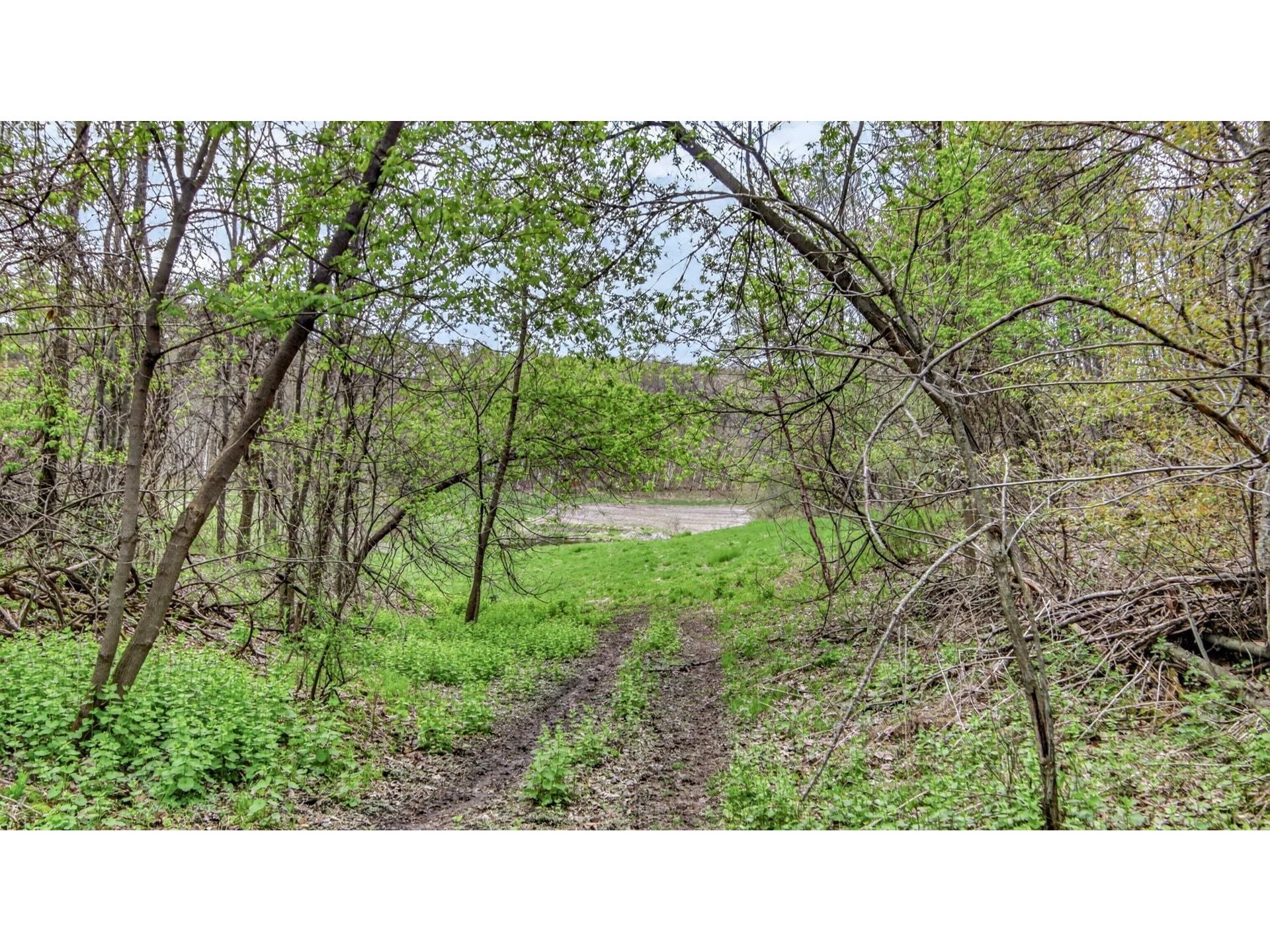 N9370 County Road P Blair WI 54616 1600694 image44