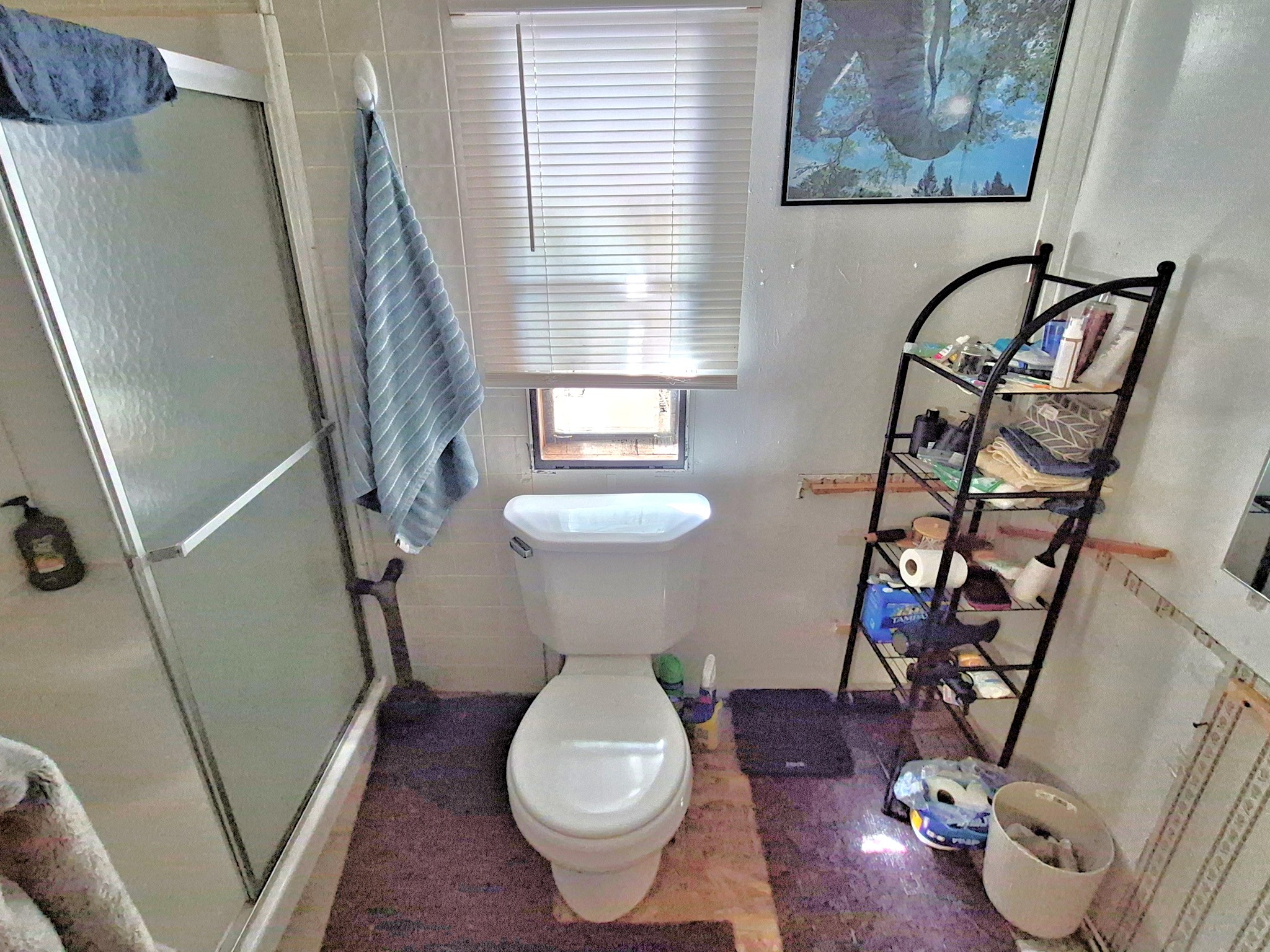 N9505 Wild River Drive Hayward WI 54843 1601351 image15