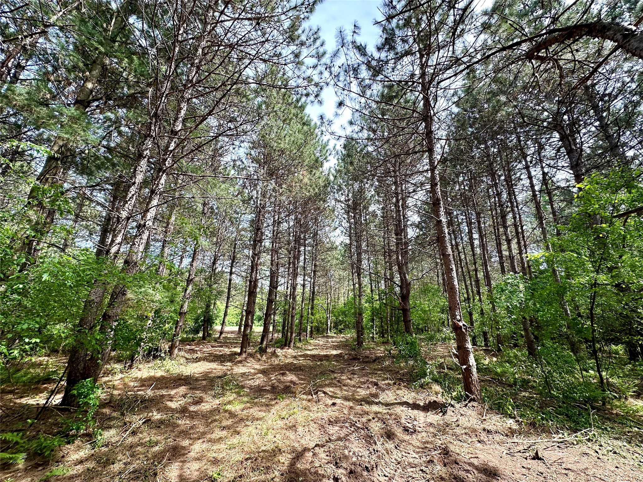 N9671 630th Street Colfax WI 54730 1601840 image12