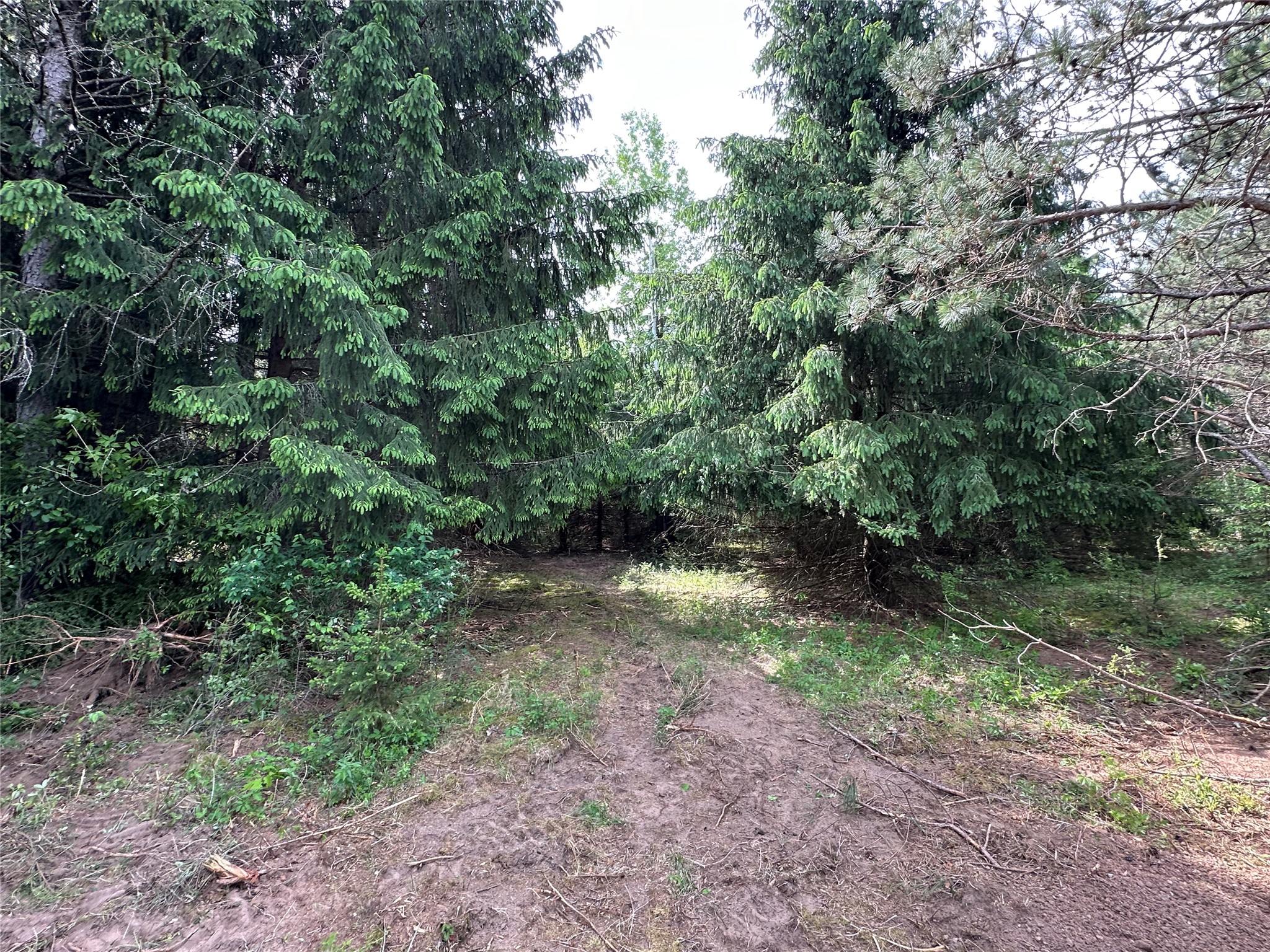 N9671 630th Street Colfax WI 54730 1601840 image23