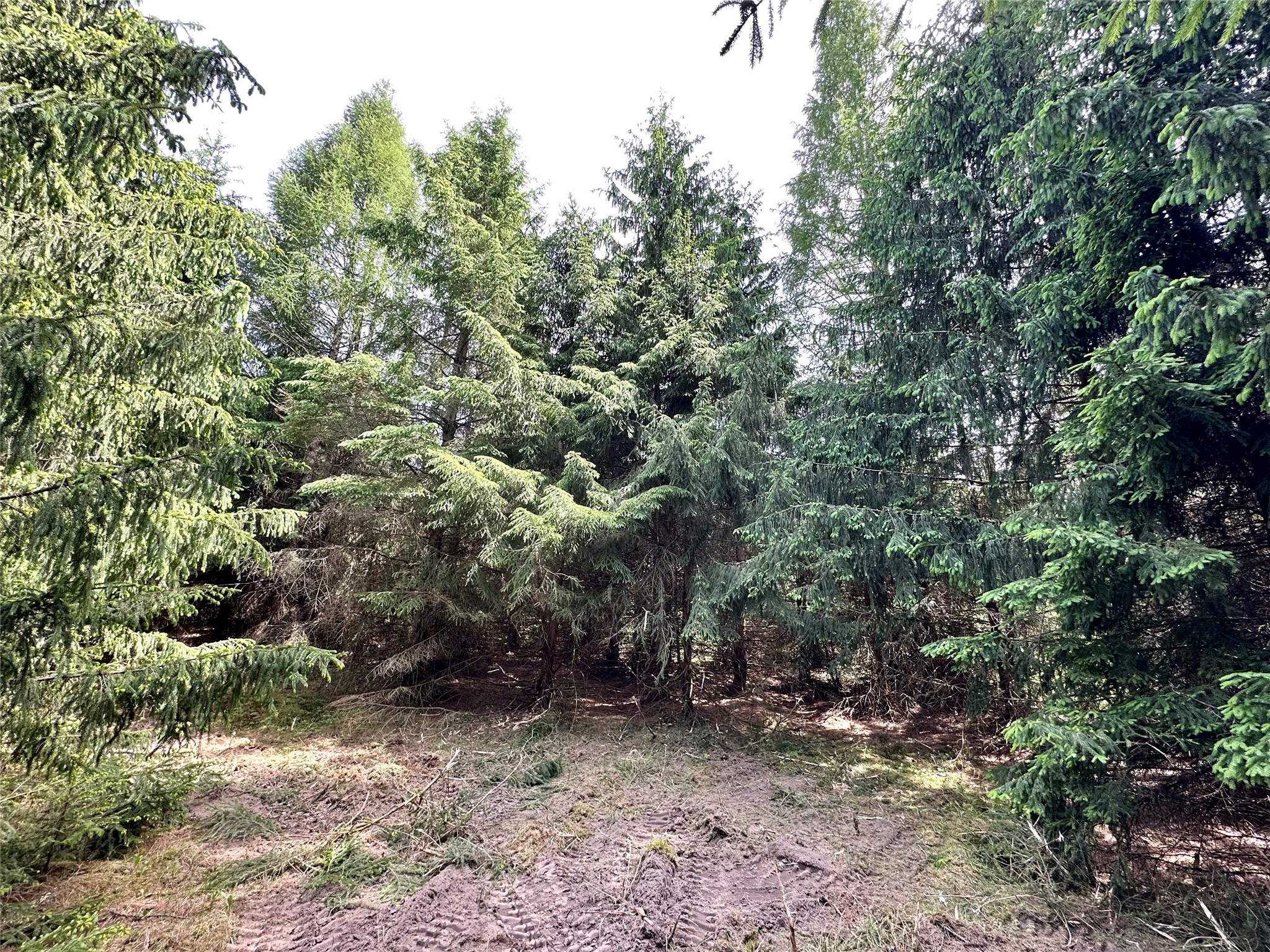 N9671 630th Street Colfax WI 54730 1601840 image24