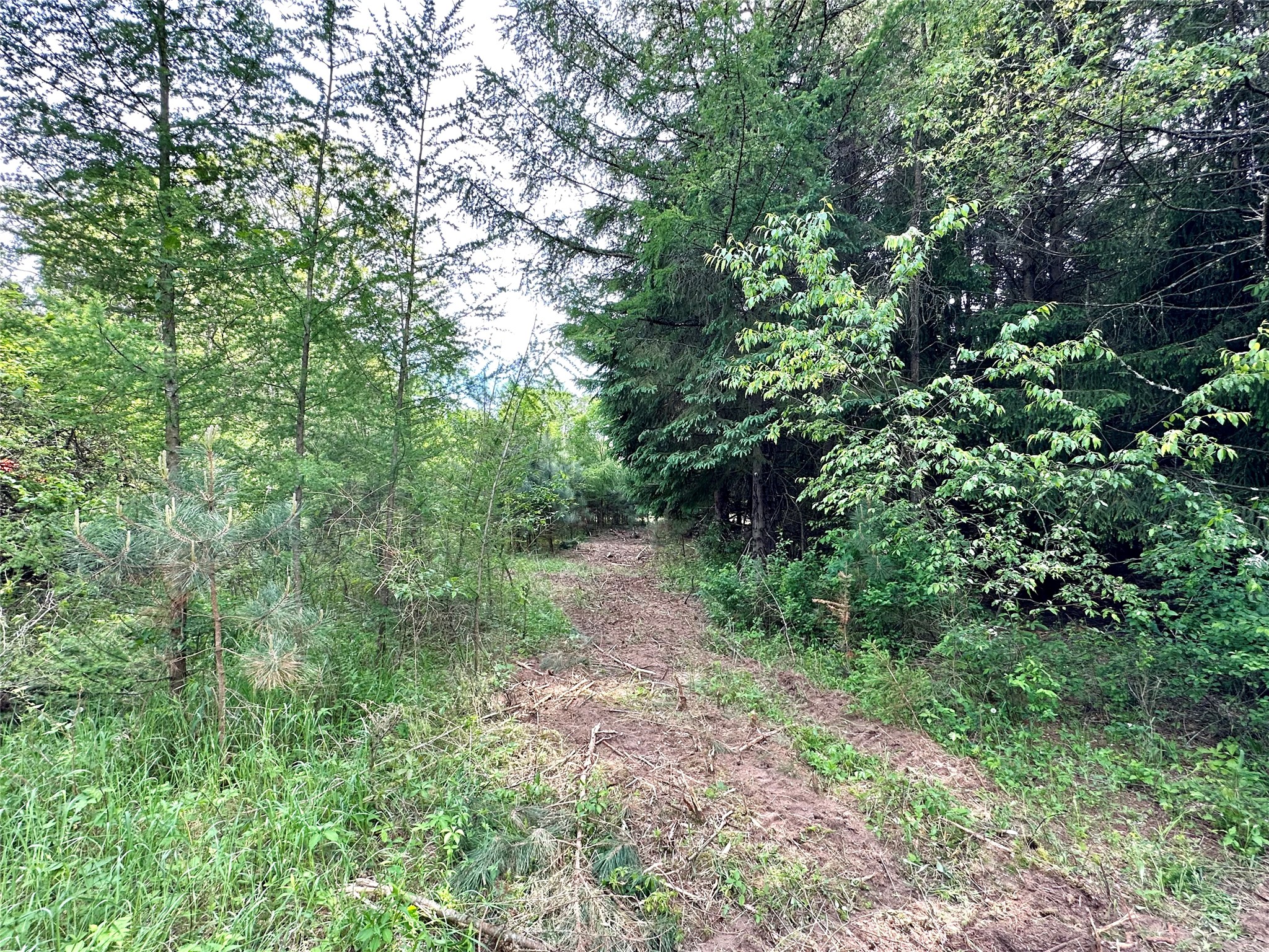 N9671 630th Street Colfax WI 54730 1601840 image25