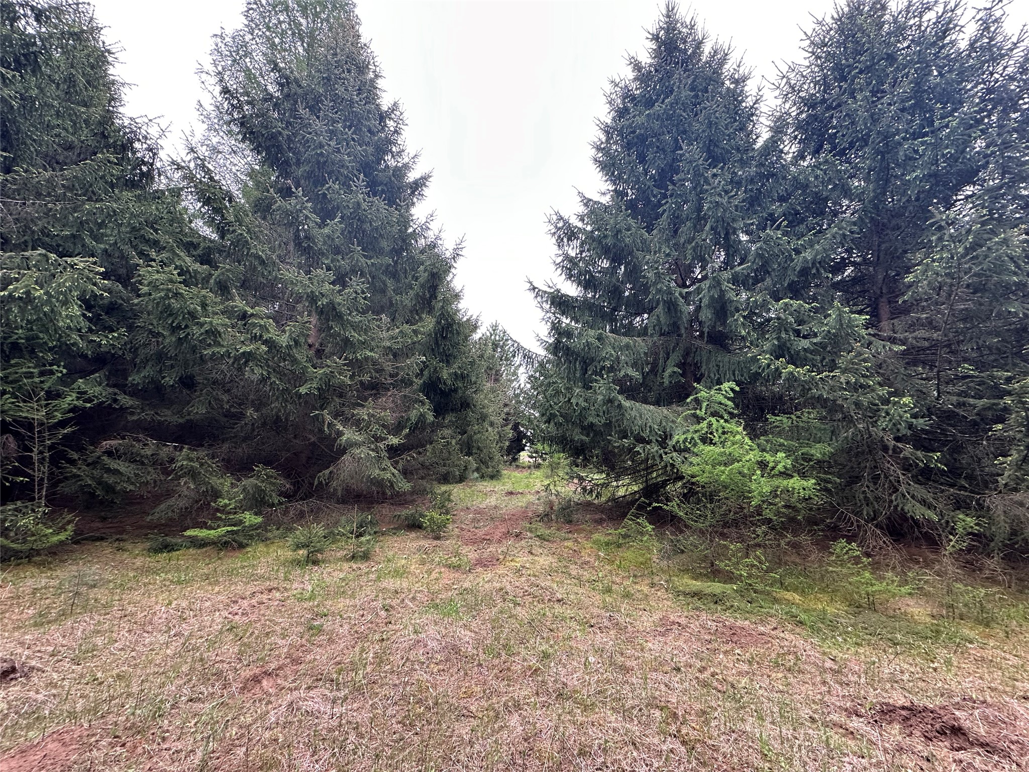 N9671 630th Street Colfax WI 54730 1601840 image29