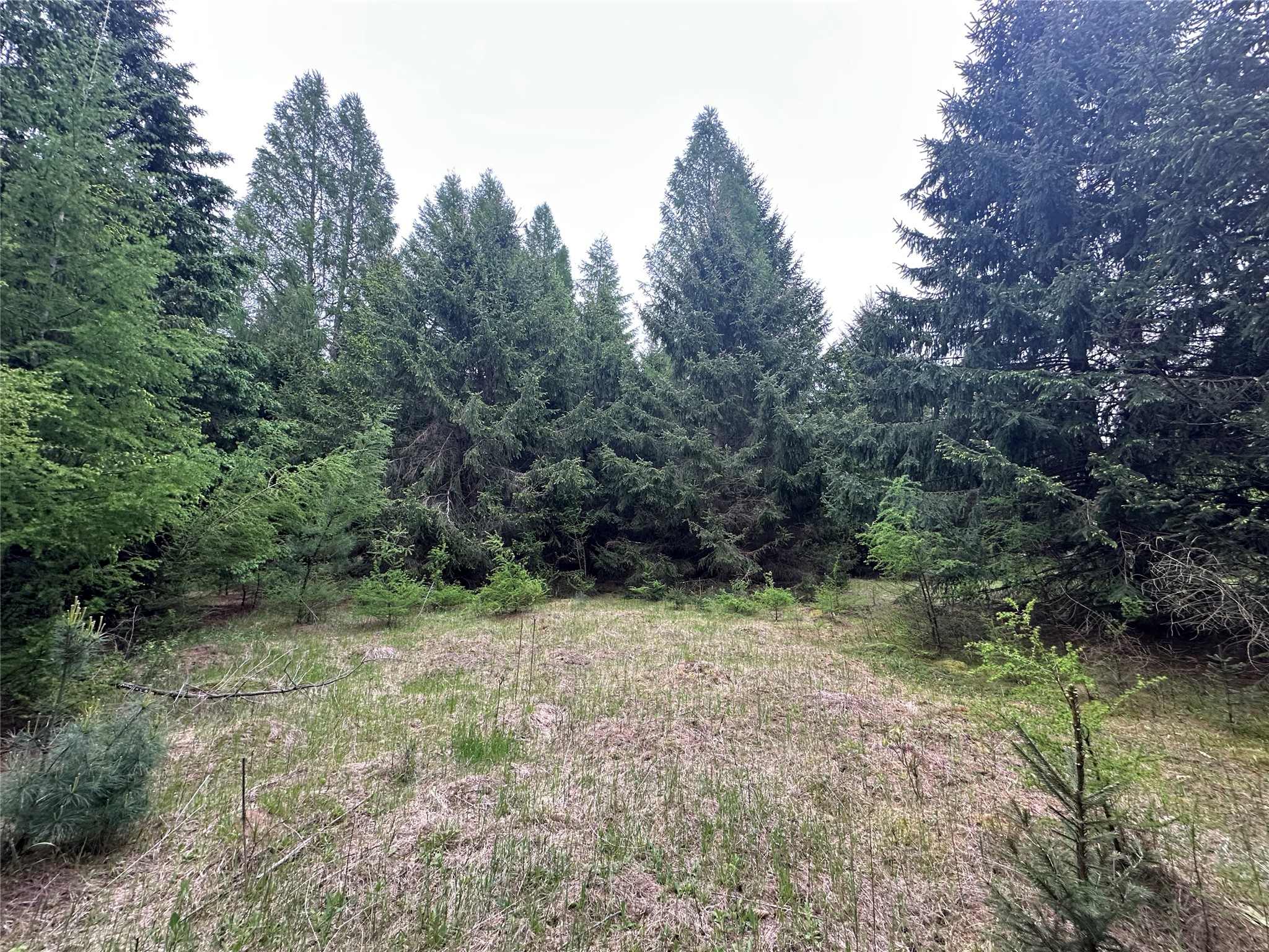 N9671 630th Street Colfax WI 54730 1601840 image30