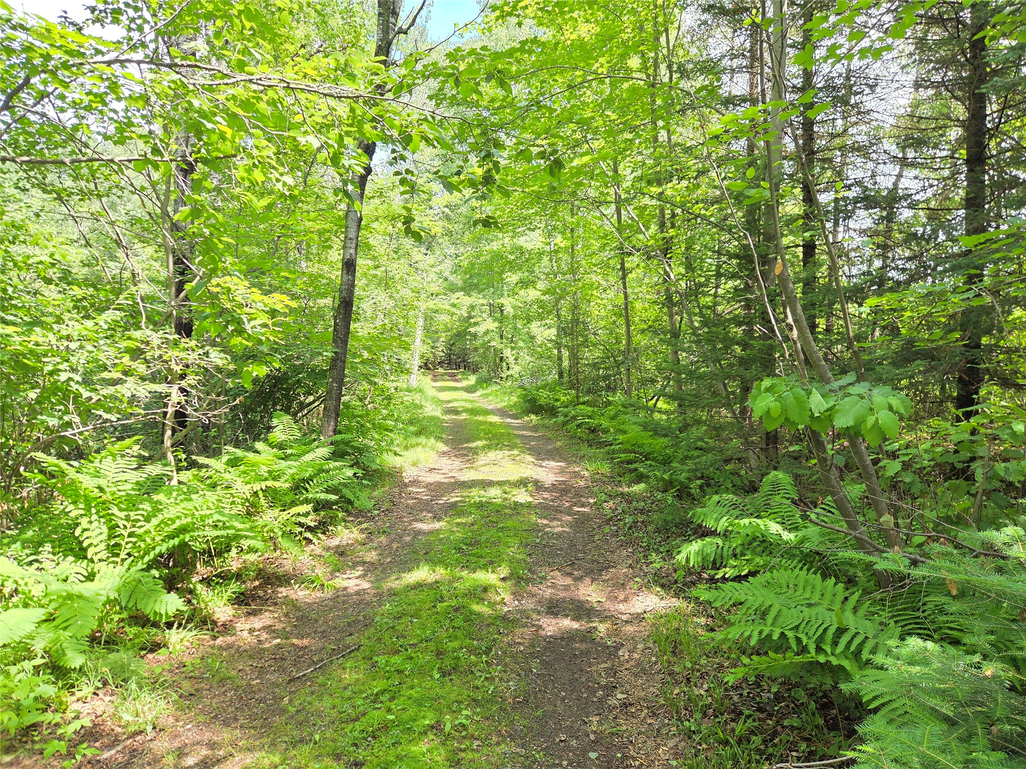 N9850 Woodland Lane Phillips WI 54555 - Musser lake 1603048 image16