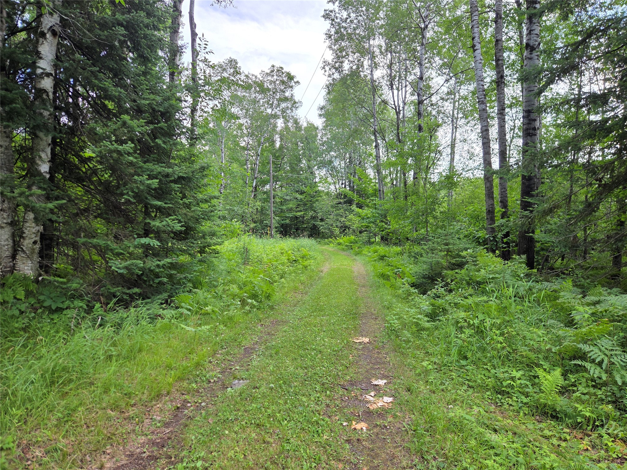 N9850 Woodland Lane Phillips WI 54555 - Musser lake 1603048 image17