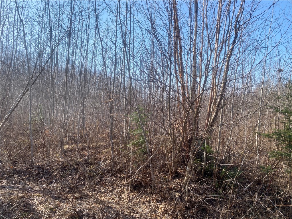 Near Bass Lake Road Park Falls WI 54552 1590550 image1