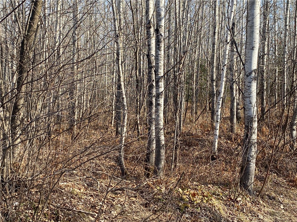 Near Bass Lake Road Park Falls WI 54552 1590578 image1