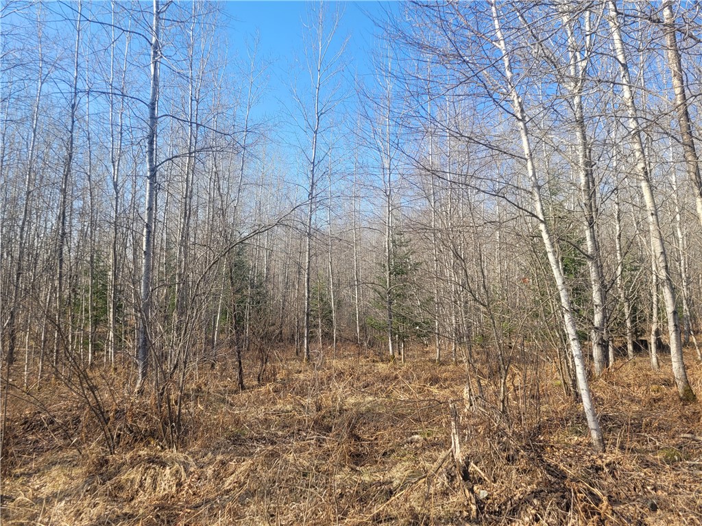 Near Knowles Road Loretta WI 54896 1590526 image1