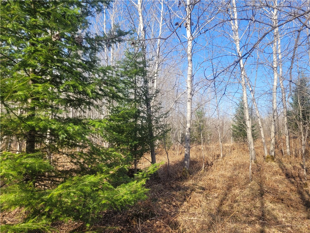 Near Knowles Road Loretta WI 54896 1590526 image2