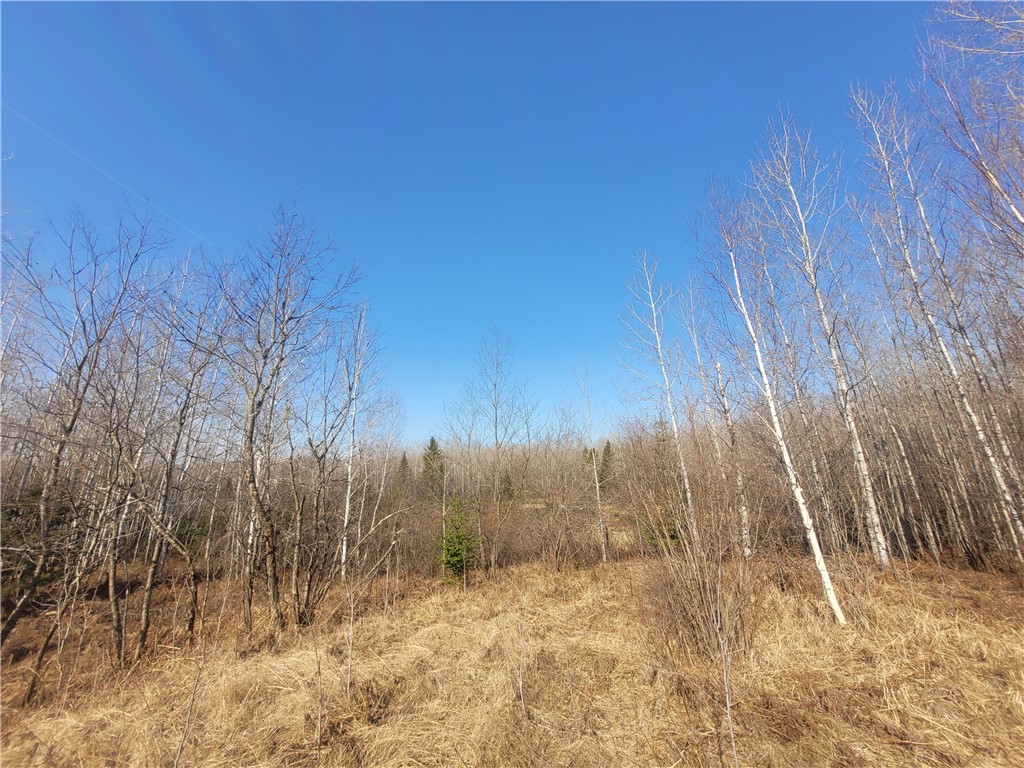 Near Knowles Road Loretta WI 54896 1590526 image4