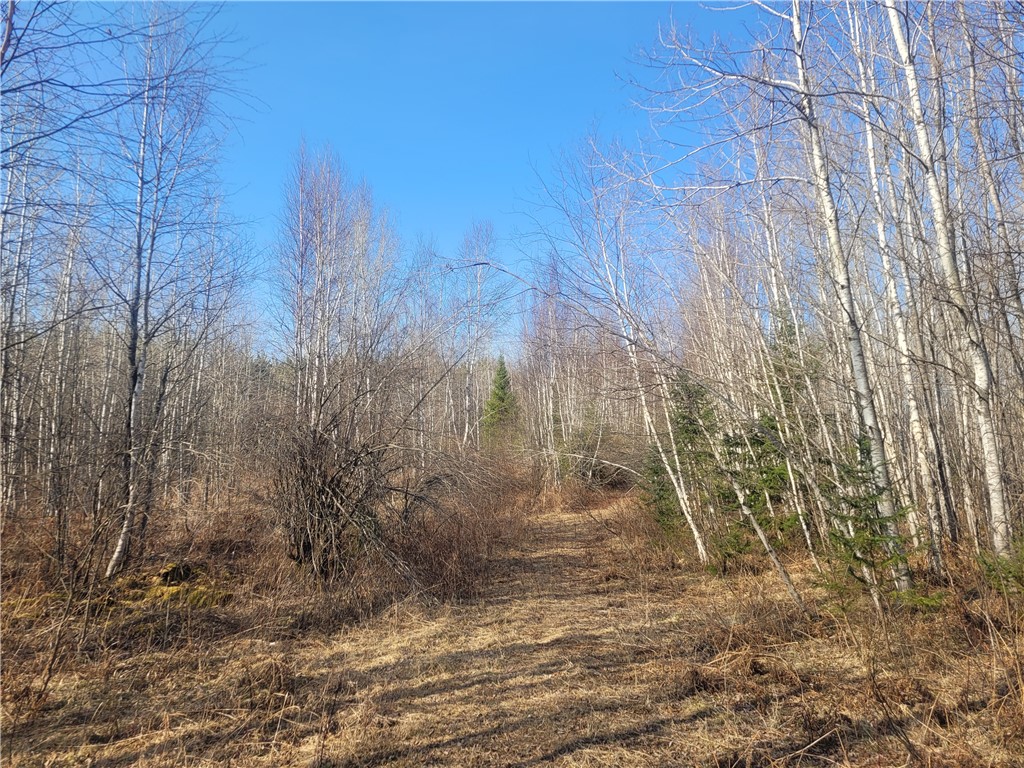 Near Knowles Road Loretta WI 54896 1590527 image2