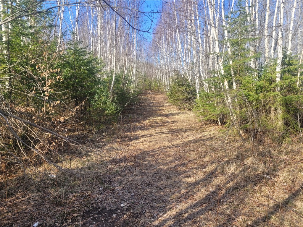 Near Knowles Road Loretta WI 54896 1590527 image3