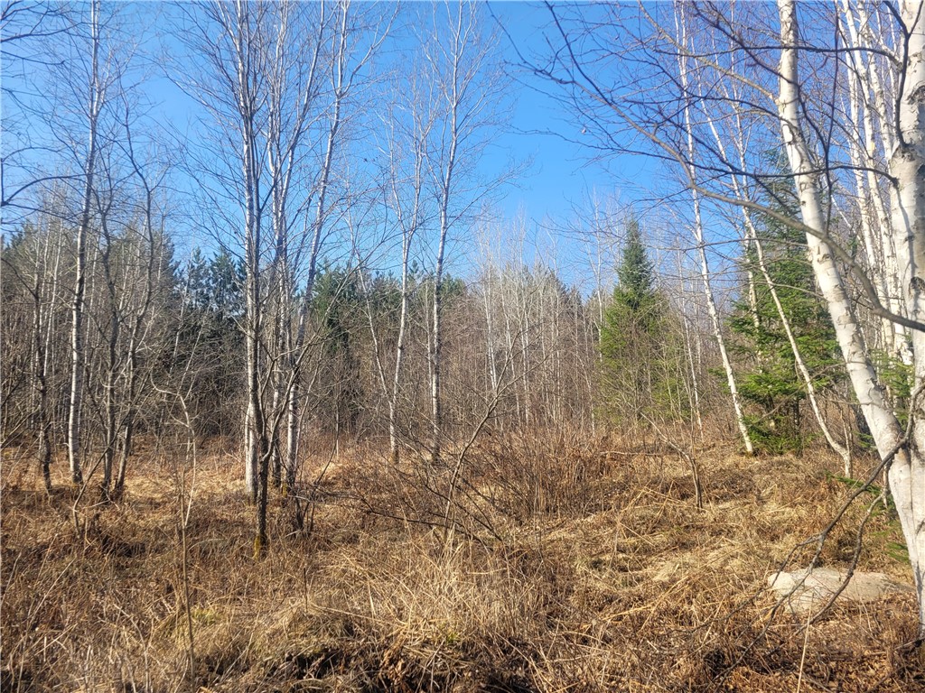 Near Knowles Road Loretta WI 54896 1590527 image4