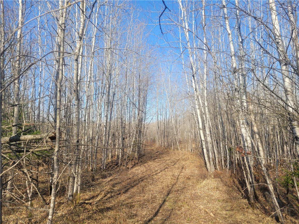 Near Knowles Road Loretta WI 54896 1590527 image5