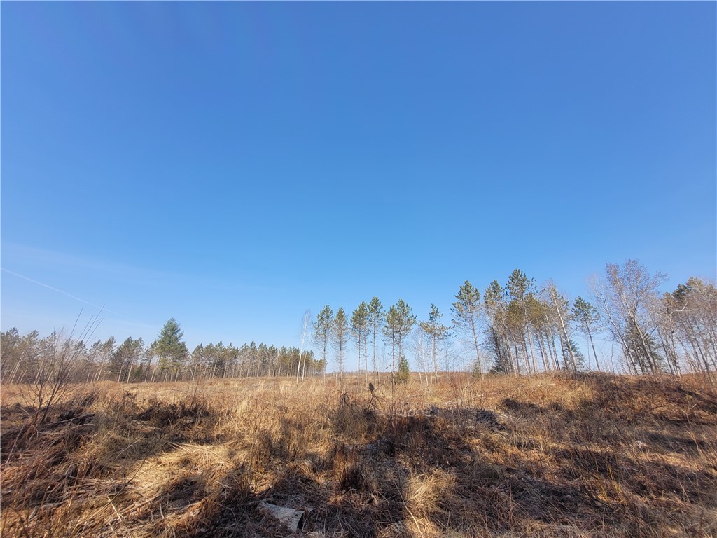 Near Knowles Road Loretta WI 54896 1590531 image1