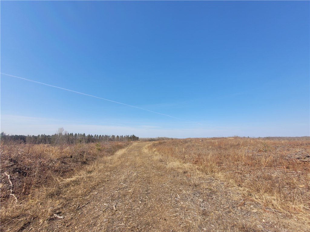 Near Knowles Road Loretta WI 54896 1590531 image3