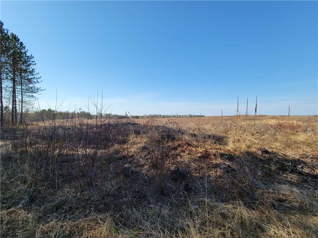 Near Knowles Road Loretta WI 54896 1590535 image3