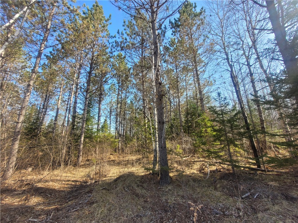 Near Knowles Road Loretta WI 54896 1590547 image1