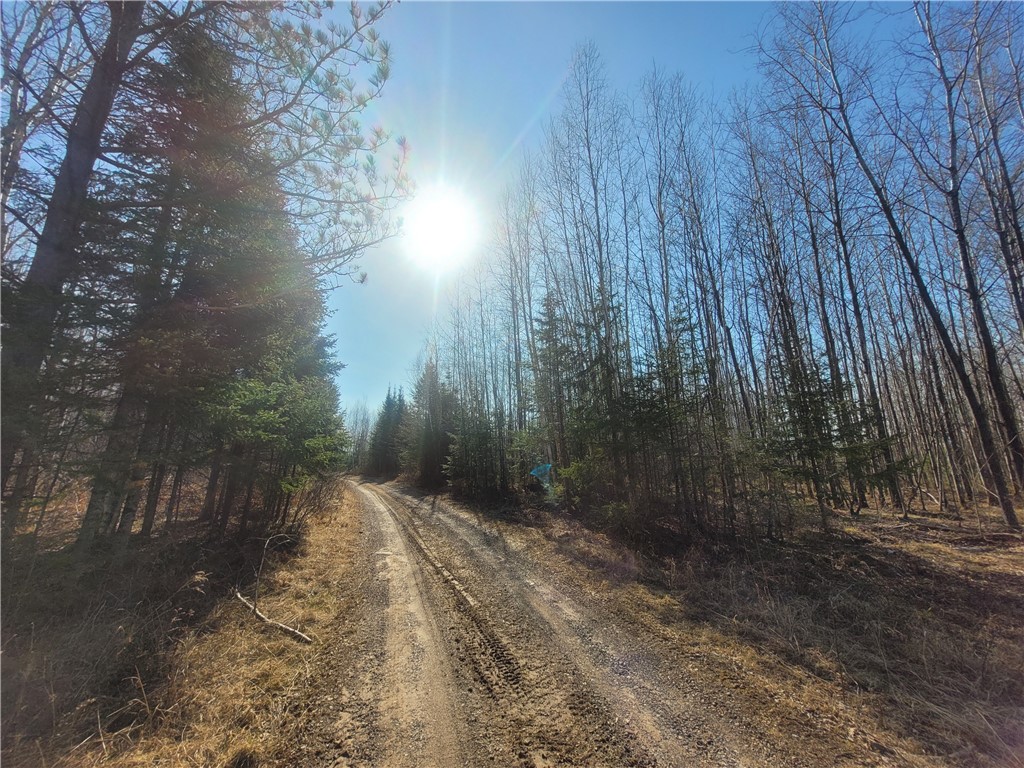 Near Knowles Road Loretta WI 54896 1590547 image2