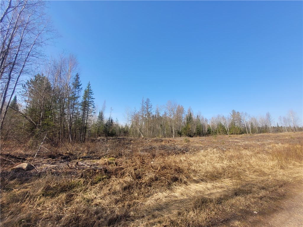 Near Knowles Road Loretta WI 54896 1590547 image3