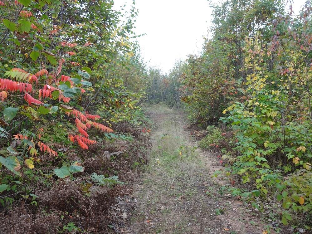 Near Old Road, Herbster, WI, 54844 MLS 1537951 Edina Realty