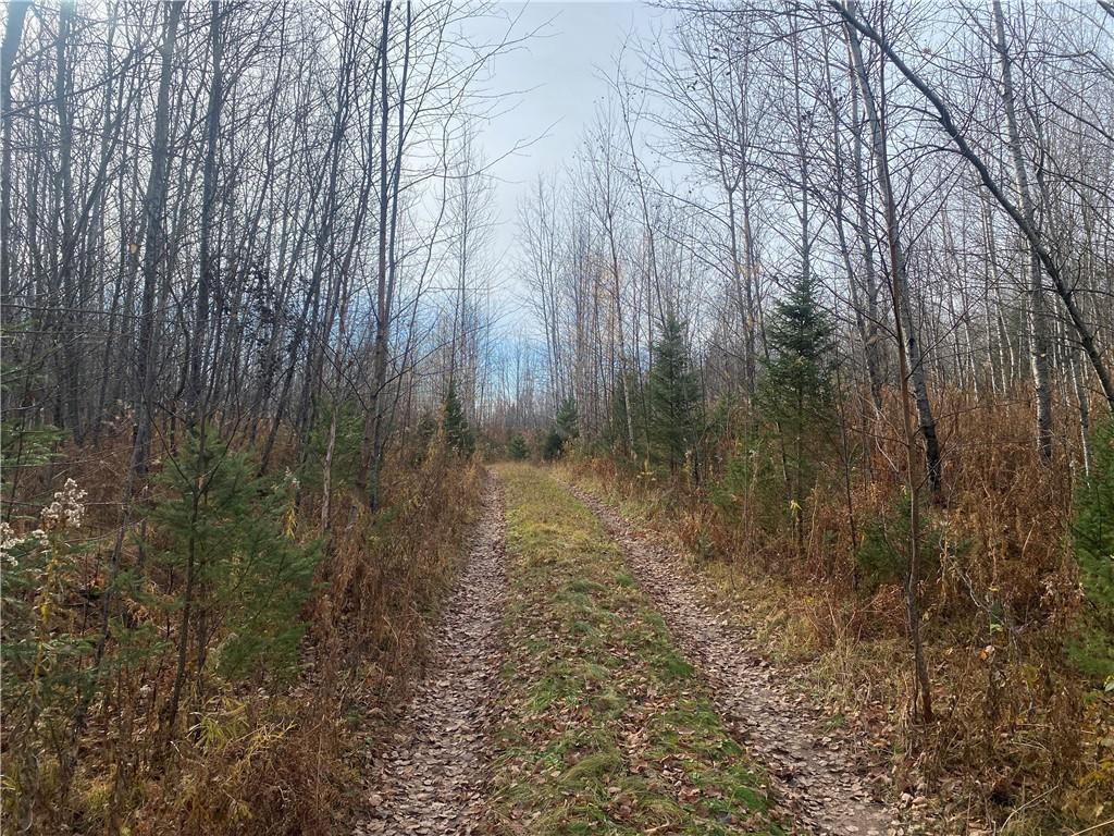 Near Right Of Way Road Butternut WI 54514 1569576 image1