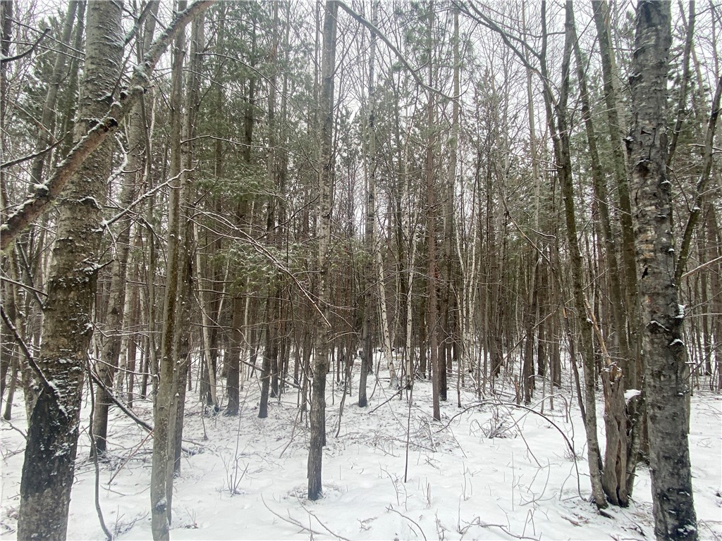 Near Seven Mile Road Herbster WI 54844 1598113 image3