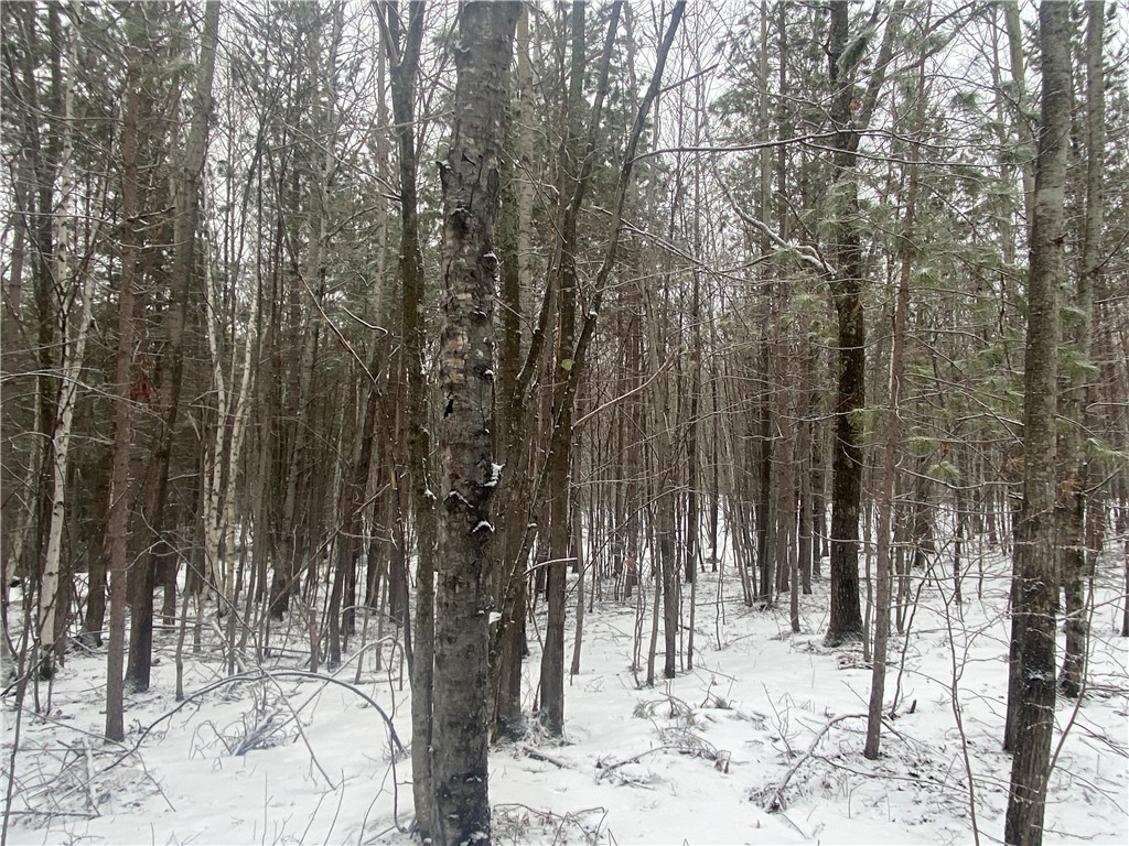 Near Seven Mile Road Herbster WI 54844 1598113 image4