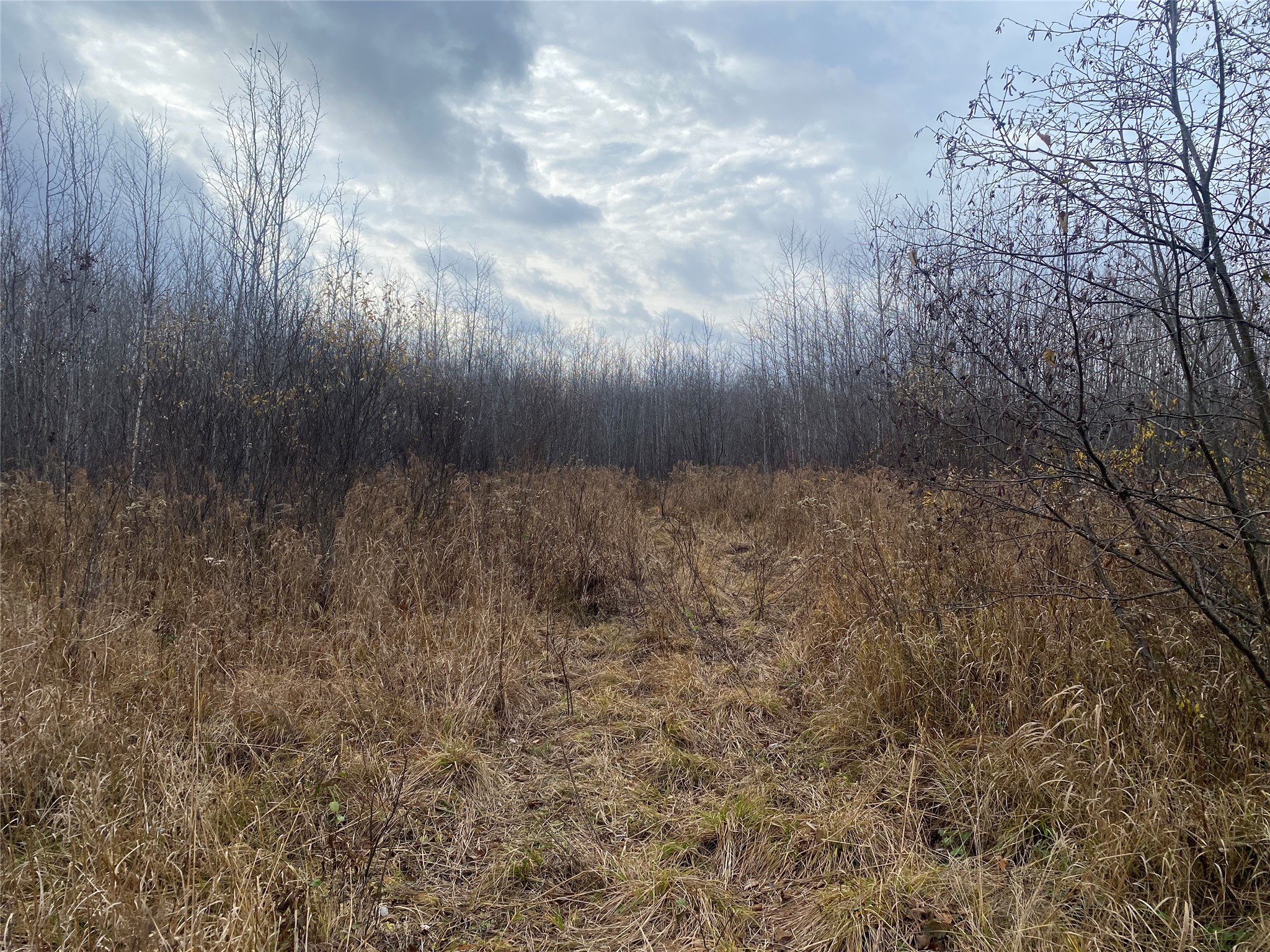 Near Timber Road Catawba WI 54515 1599135 image2