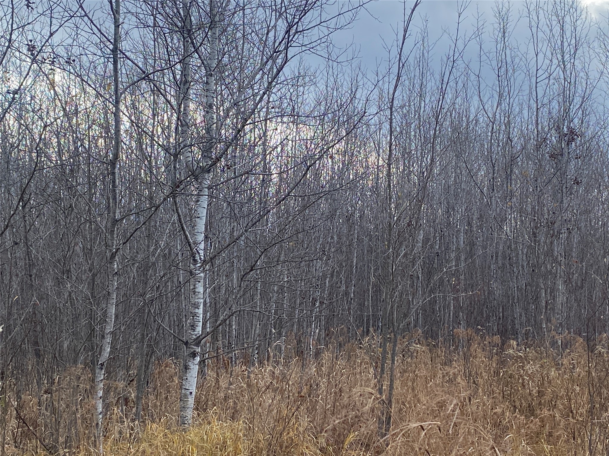 Near Timber Road Catawba WI 54515 1599135 image3