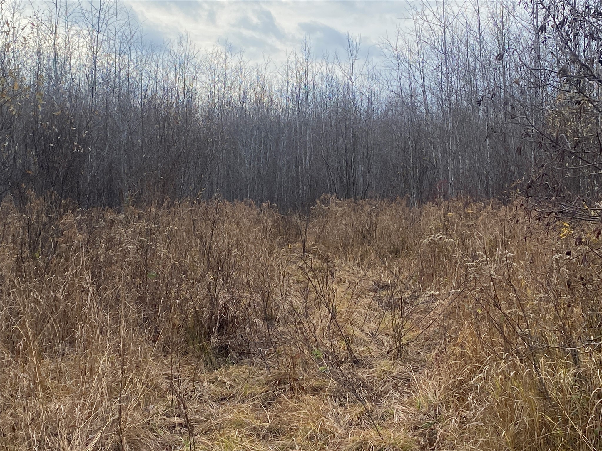 Near Timber Road Catawba WI 54515 1599135 image4