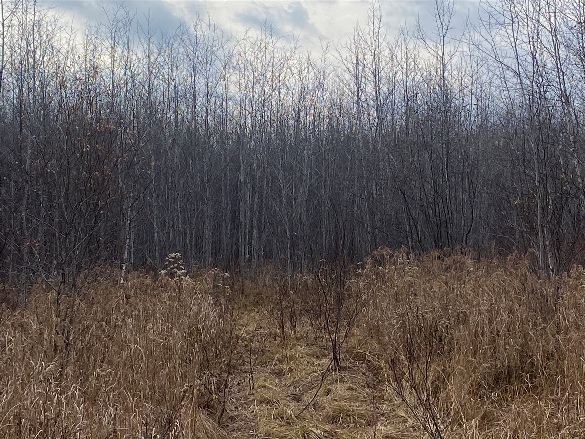 Near Timber Road Catawba WI 54515 1599135 image7