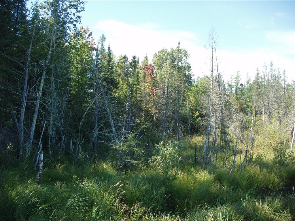 Near Wagner Vogt Road Butternut WI 54514 1576457 image1