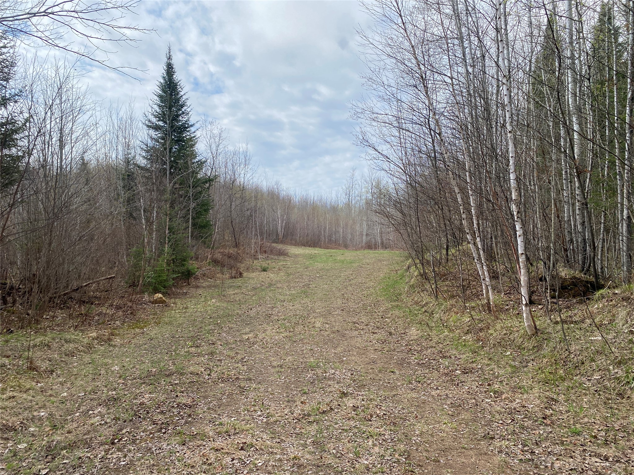 Near Wilson Lake Road Phillips WI 54555 1599326 image1