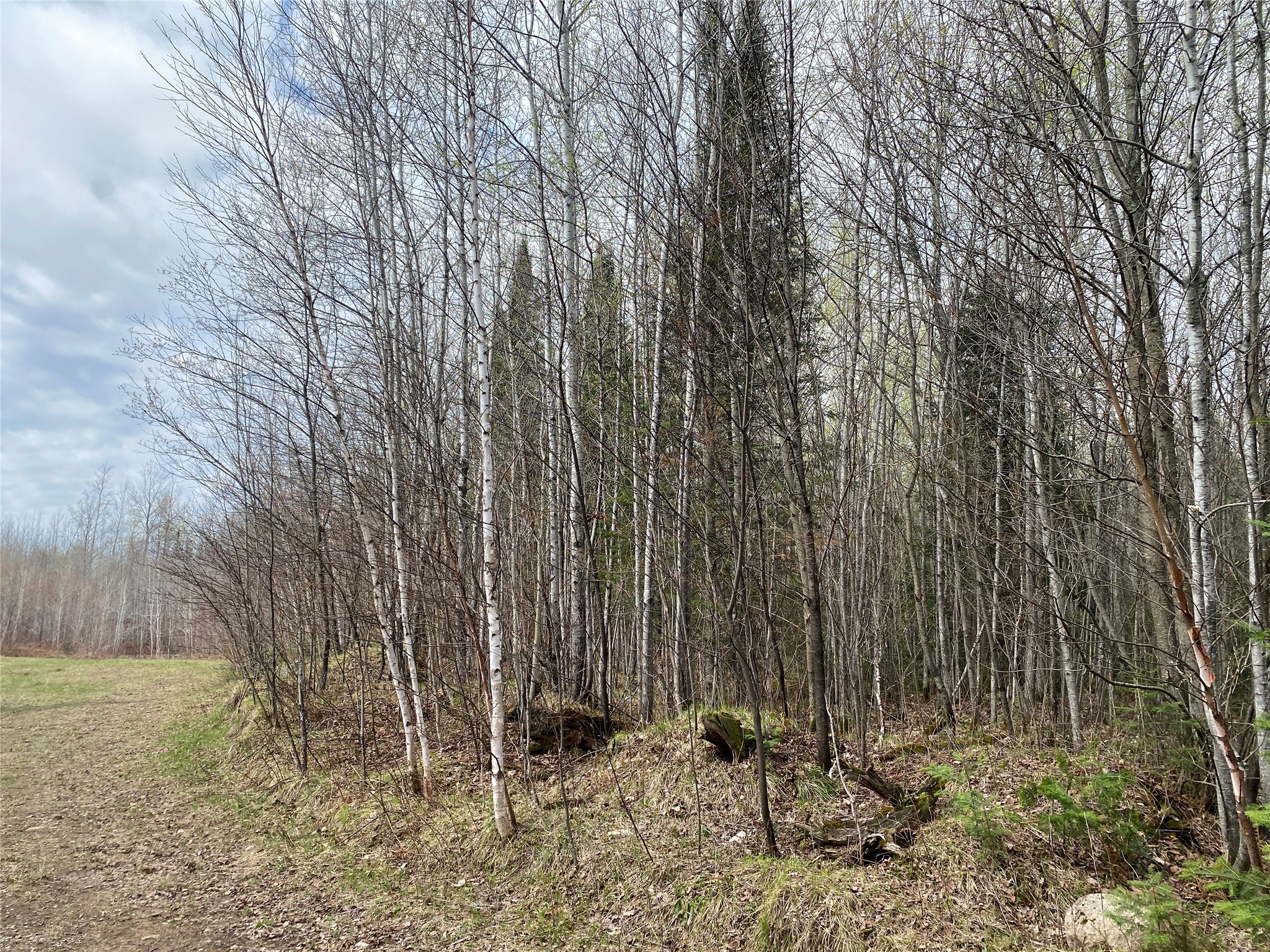 Near Wilson Lake Road Phillips WI 54555 1599326 image2