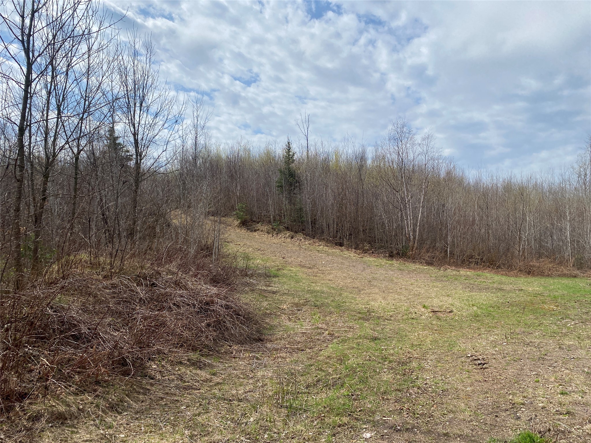 Near Wilson Lake Road Phillips WI 54555 1599326 image3