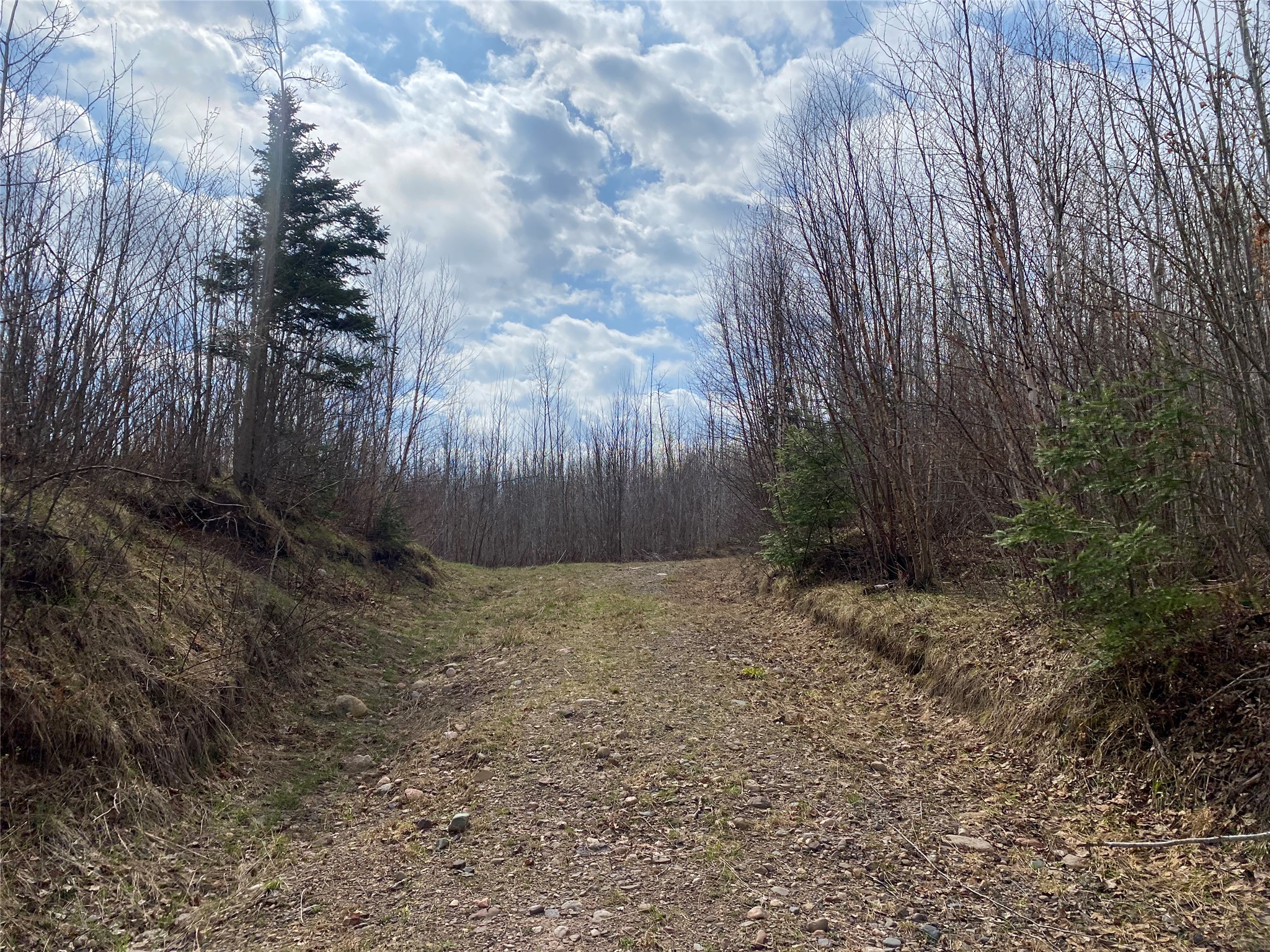 Near Wilson Lake Road Phillips WI 54555 1599326 image4