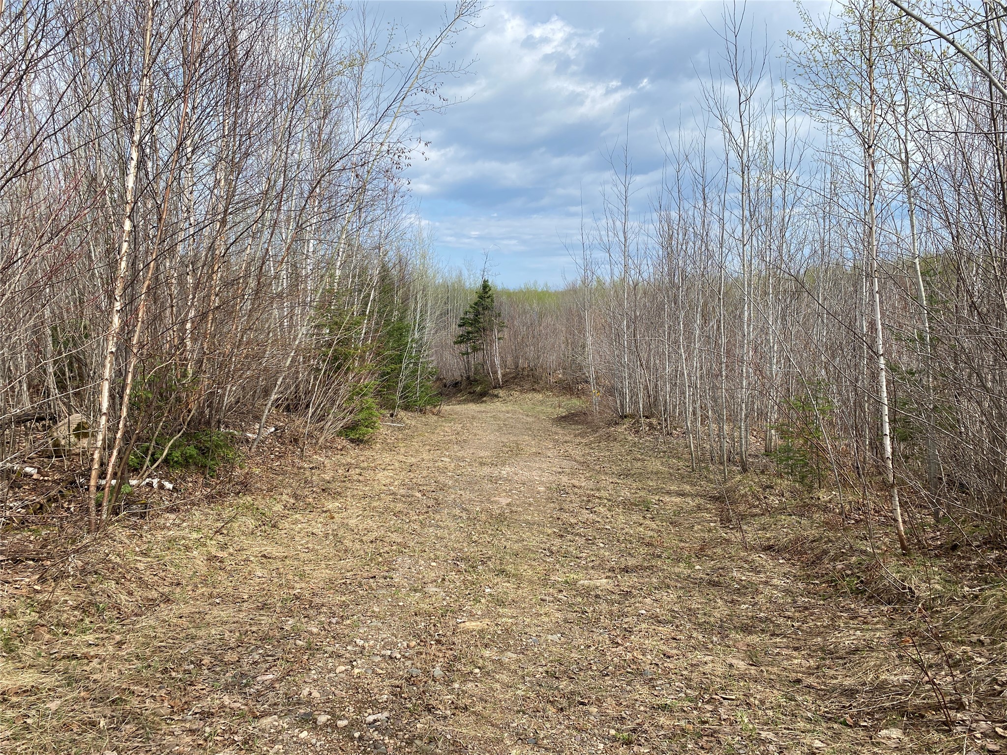 Near Wilson Lake Road Phillips WI 54555 1599326 image5