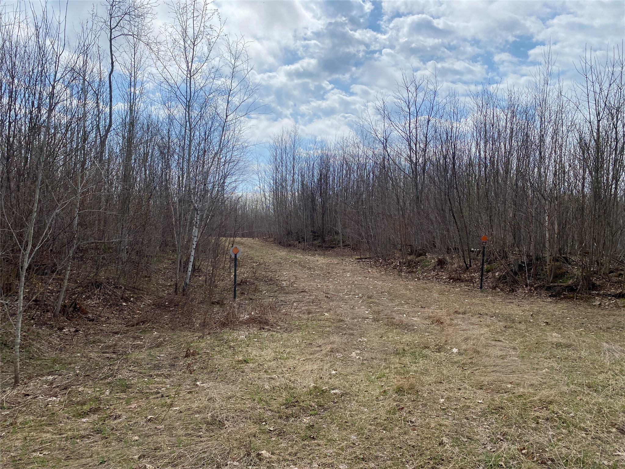 Near Wilson Lake Road Phillips WI 54555 1599326 image6