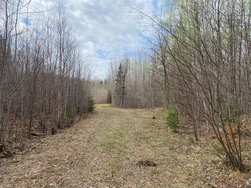 Near Wilson Lake Road Phillips WI 54555 1599327 image1