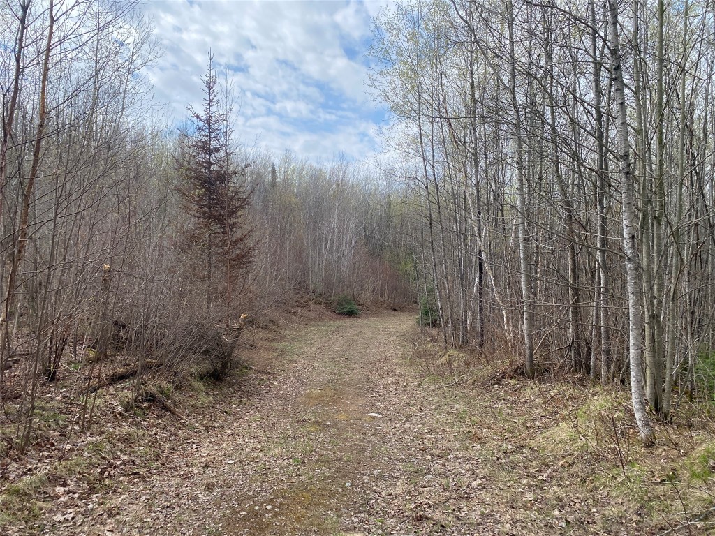 Near Wilson Lake Road Phillips WI 54555 1599327 image2