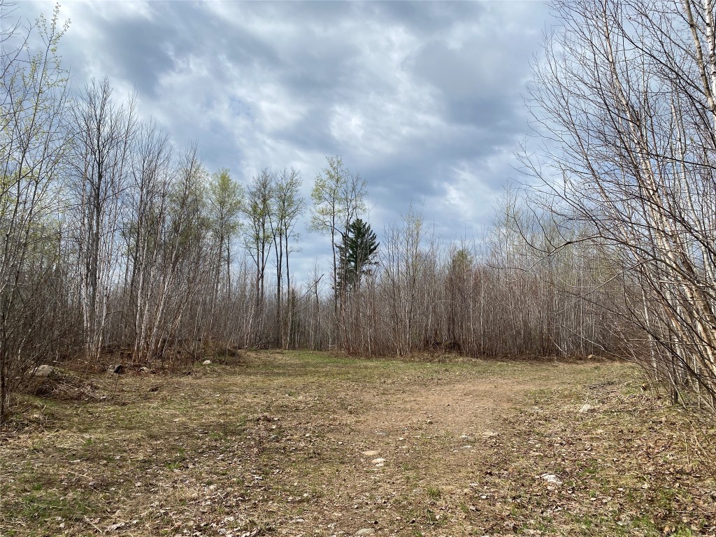 Near Wilson Lake Road Phillips WI 54555 1599327 image4