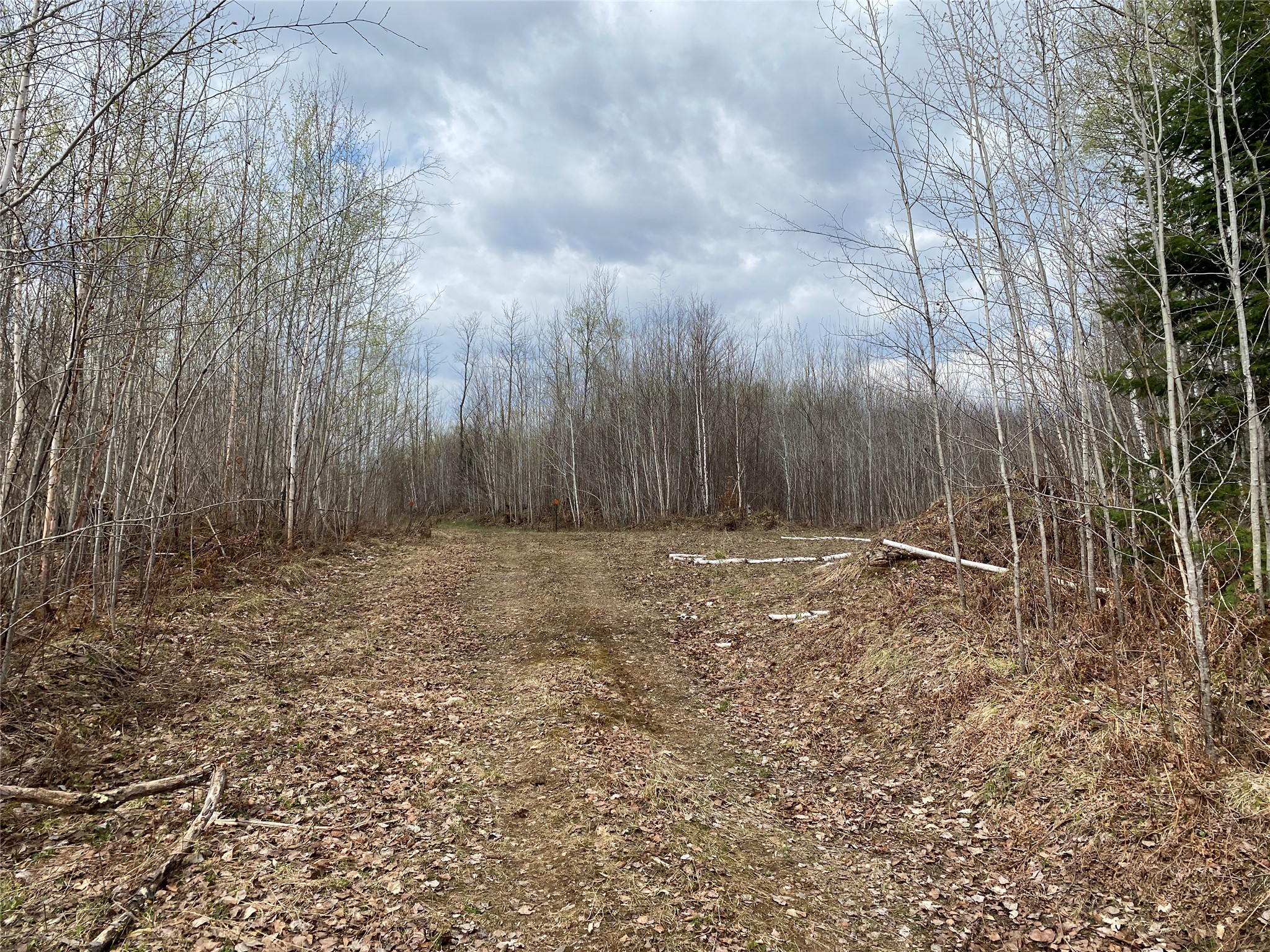 Near Wilson Lake Road Phillips WI 54555 1599328 image1