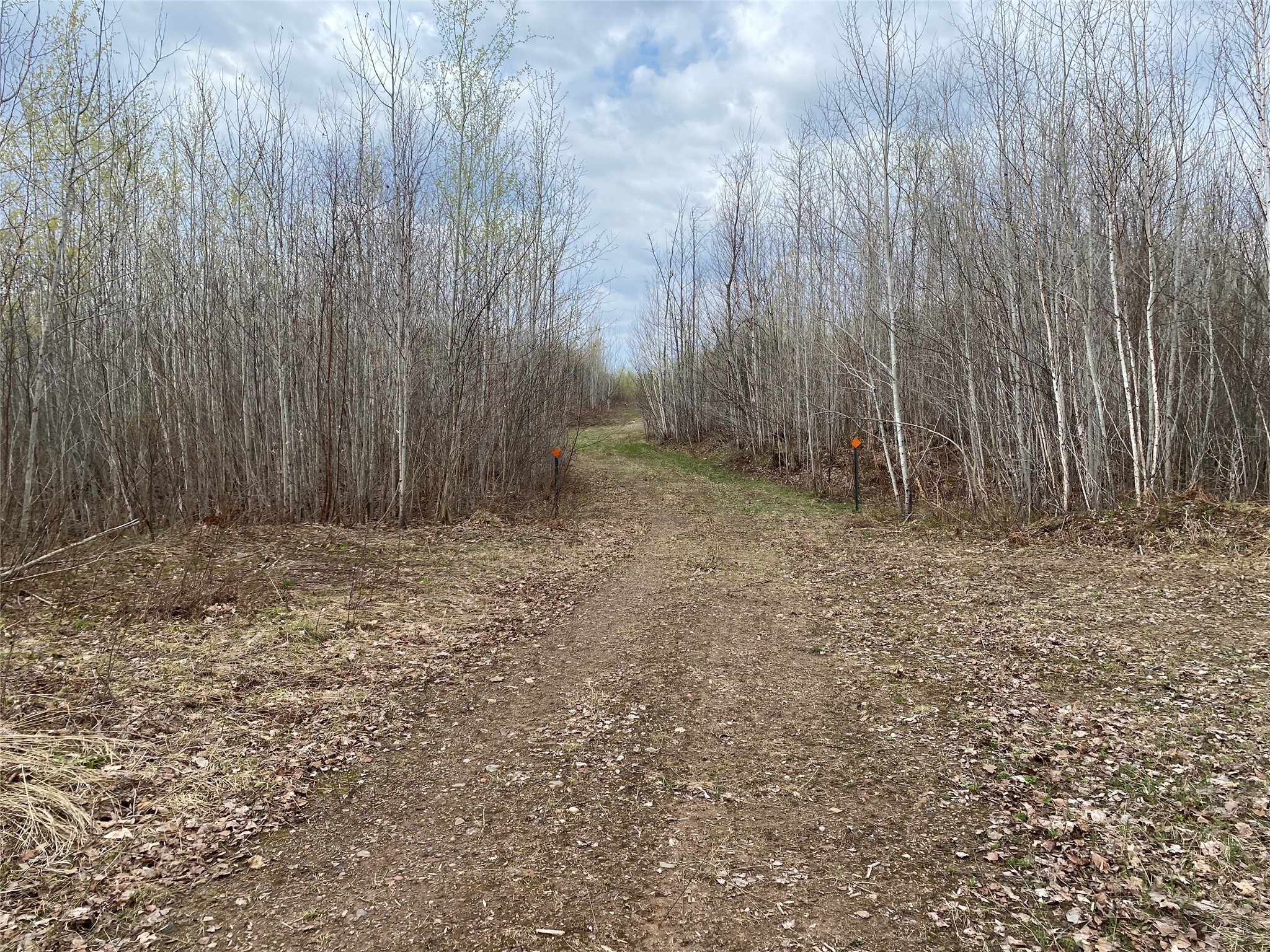 Near Wilson Lake Road Phillips WI 54555 1599328 image2