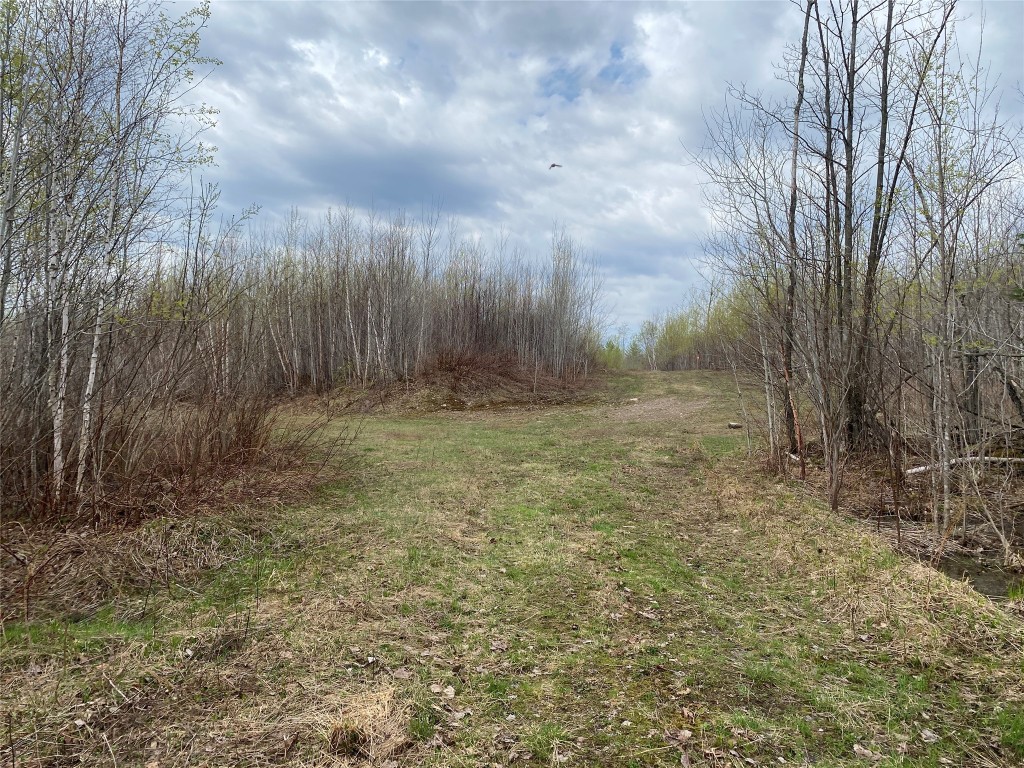 Near Wilson Lake Road Phillips WI 54555 1599328 image3